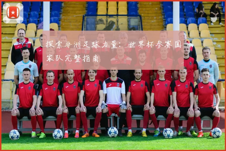 探索非洲足球力量：世界杯参赛国家队完整指南