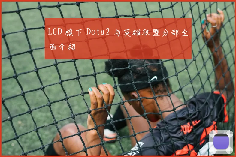 LGD 旗下 Dota2 与英雄联盟分部全面介绍